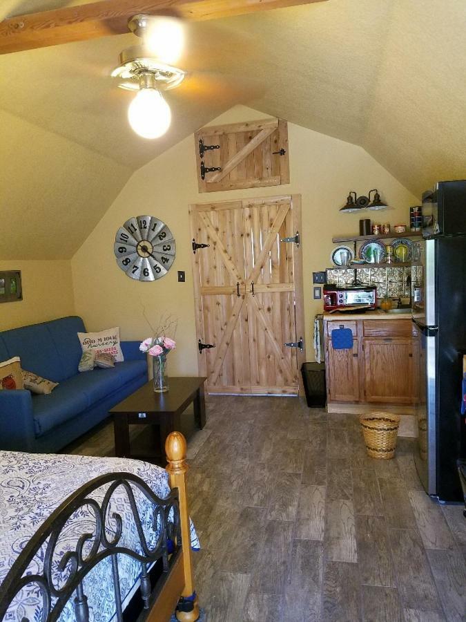 Cabin Sweet Cabin Каньйон-Лейк Екстер'єр фото